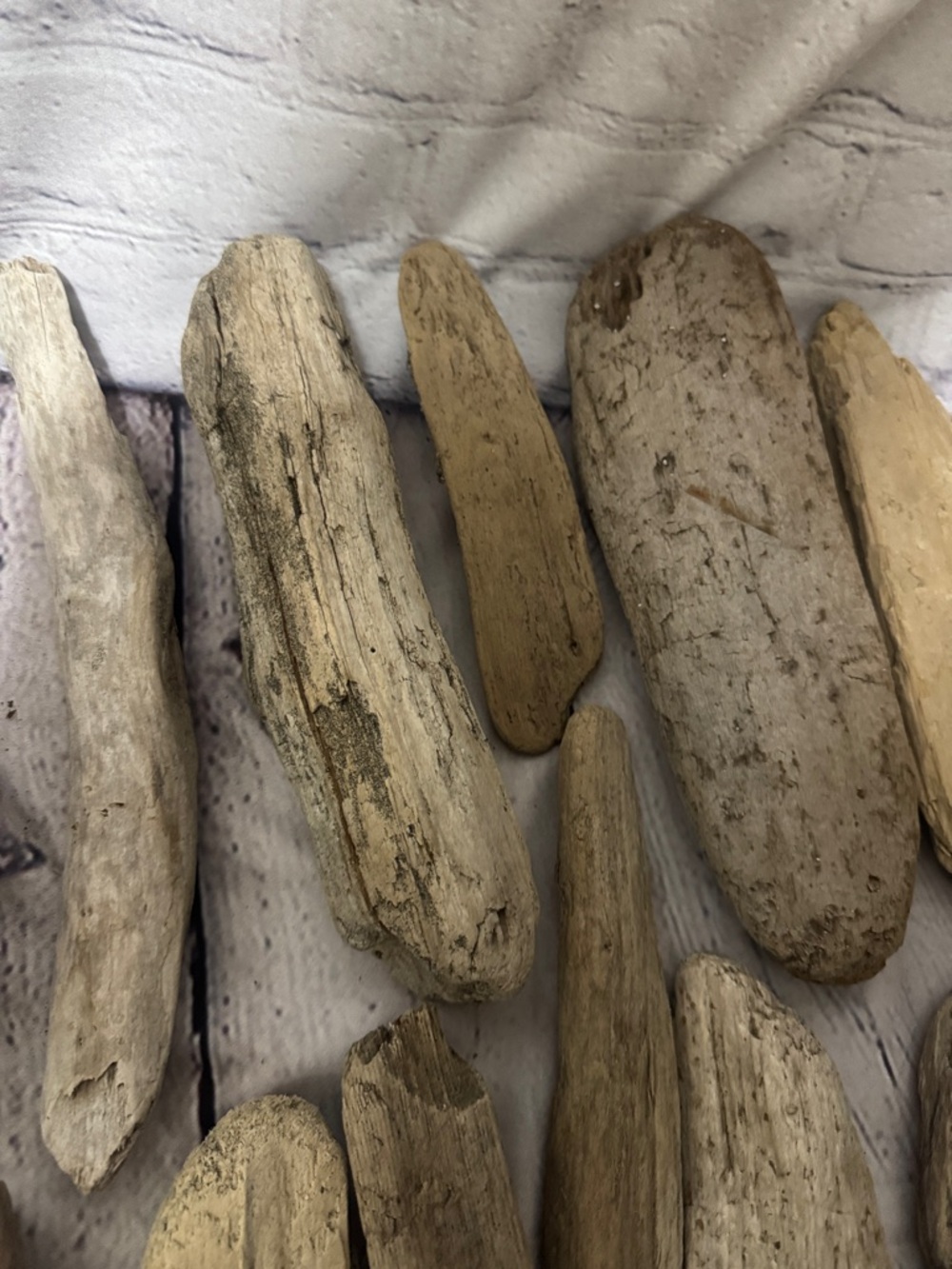 20 pieces PNW Pacific Ocean Grays Harbor Natural Driftwood Home Accent Bundle - Picture 4 of 17